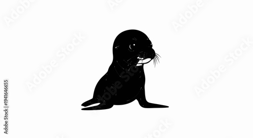 Cute black seal with white highlights and whiskers