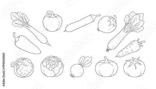 Hand drawn of various fresh vegetables arranged in a scattered pattern food produce