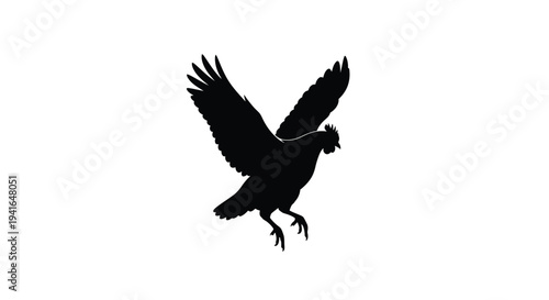 A striking black bird in flight with outstretched wings silhouette