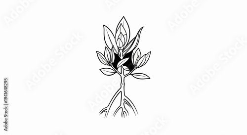 Black and white illustration of a plant with roots and leaves