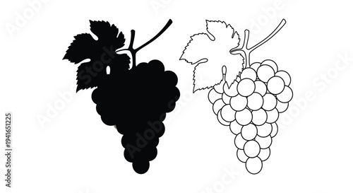 Grapes depicted in contrasting styles one a dark silhouette