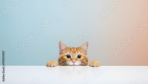 Cute Surprised Orange Cat Peeking Over Table with Copy Space