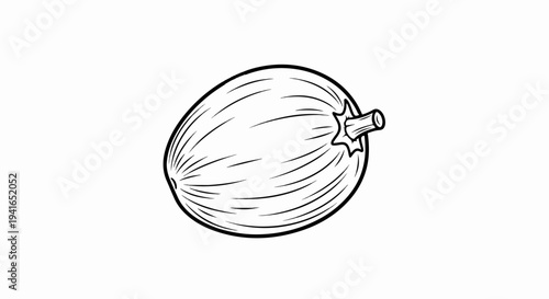 Black and white line drawing of a single ripe melon on a white background