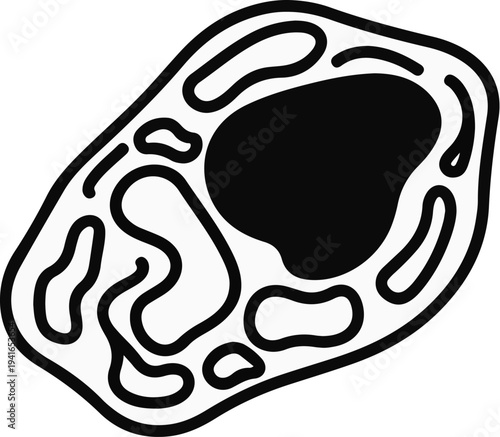 Abstract organic shape with internal compartments and a central dark mass