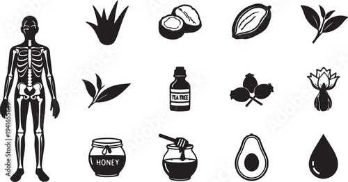 Set of 15 Black and White Vector Icons for Health, Wellness, and Natural Ingredients including Human Skeleton, Aloe Vera, Honey, and Avocado isolated PNG with Transparent Background