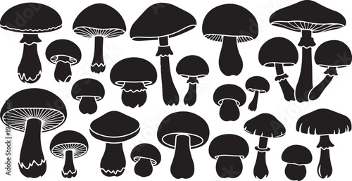 Collection of various black mushroom silhouettes on white background