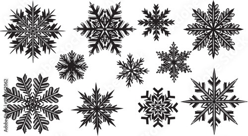 Collection of unique black snowflakes on white background illustration