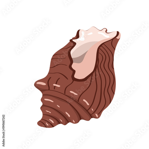  Illustration of  textured brown ocean shell. Stylized maritime element for summer beach decor, nautical themed projects, and nature inspired illustrations.