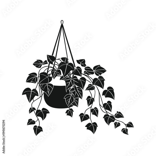 Hanging plant with flowing ivy leaves in black pot decorative botanical illustration