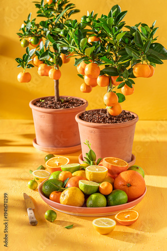 Healthy and fresh mix of ci...