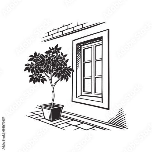 Potted tree placed outside a window illustration representing home gardening decor