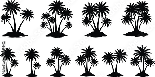Tropical palm tree silhouettes collection isolated on white background, island coconut trees vector style design set for summer travel nature graphics