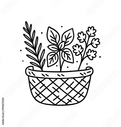 Line drawing of a woven basket holding three herb sprigs — rosemary, basil, and parsley — for cooking, gardening, or recipe layouts.
