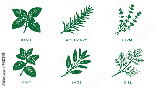 Collection of six different herbs illustrated in green and white with their names basil, rosemary, thyme, mint, sage, and dill.