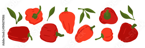 Red bell pepper vector set. Fresh food icon set isolated on a white background. Capsicum graphic design elements collection.