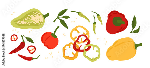 Ripe bell, hot chili, jalapeno pepper vector set. Fresh food design elements set isolated on a white background. Capsicum collection.
