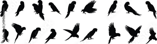 Parrot silhouette collection tropical bird set flying perched and landing parrot silhouettes isolated on white background wildlife vector illustration