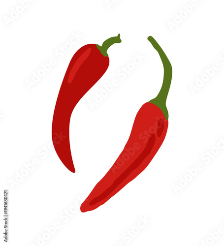 Red chili pepper design elements. Vector illustration on white background. Spicy food texture for packaging, kitchen textile, restaurant menu and culinary design.