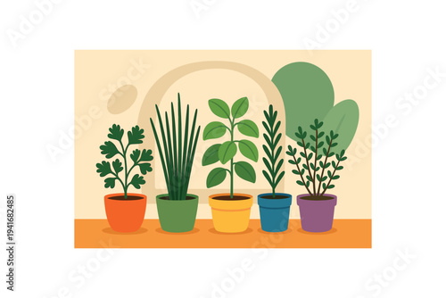 Five different potted houseplants in bright pots arranged on an orange shelf against a soft beige backdrop, representing indoor gardening, herbs, home decor, or plant care guides.