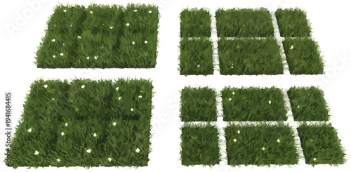 Set of 4 Green Grass Patches with White Flowers Vector isolated PNG with Transparent Background