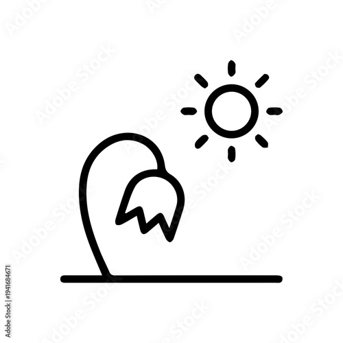 Wilting Plant Under Sun