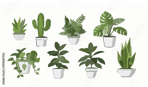 Vibrant potted house plant collection seven green leafy indoor plants vector illustration