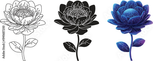 Set of three stylized protea flower illustrations including intricate line art a bold black silhouette and a vibrant blue textured version ideal for botanical branding or decorative elements