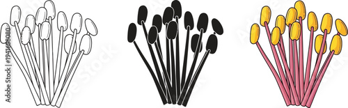 Set of botanical stamens in various styles including line art silhouette and color ideal for educational and scientific illustrations