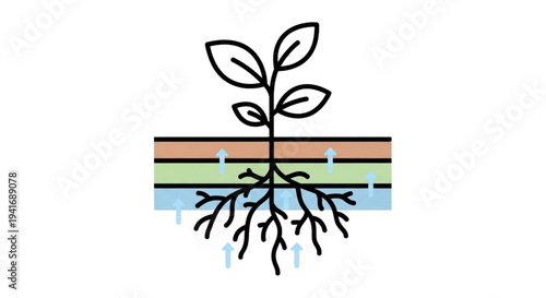 Simple linear icon showing a plant's roots drawing water from distinct soil layers, symbolizing essential nutrient uptake and healthy plant development