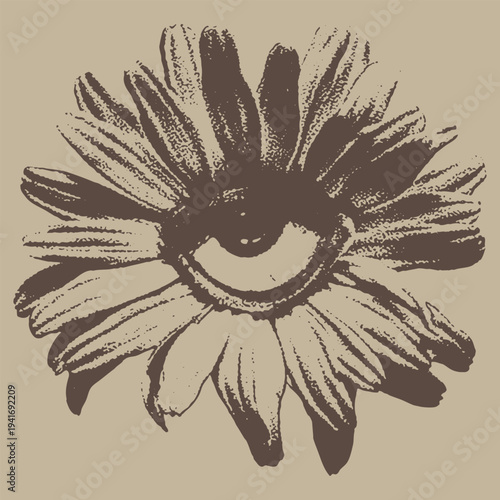 Stylized sunflower with an eye in the center, surreal floral illustration, vintage engraving
