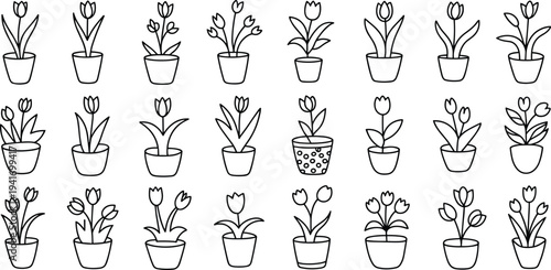 Collection of minimalist black line art icons featuring tulips in flower pots isolated on white background for spring garden and floral decoration design projects