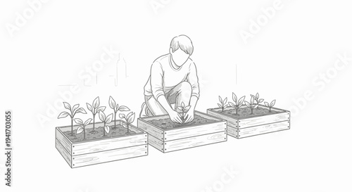 Person planting seedlings in raised garden beds, cultivating new life.