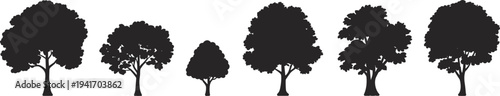 Collection of black tree silhouettes and leafy botanical elements including various oak maple and forest tree shapes isolated on white background.