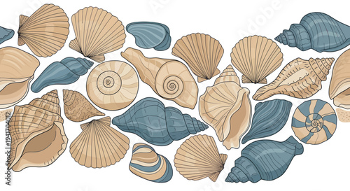 Collection of assorted seashells and pebbles.