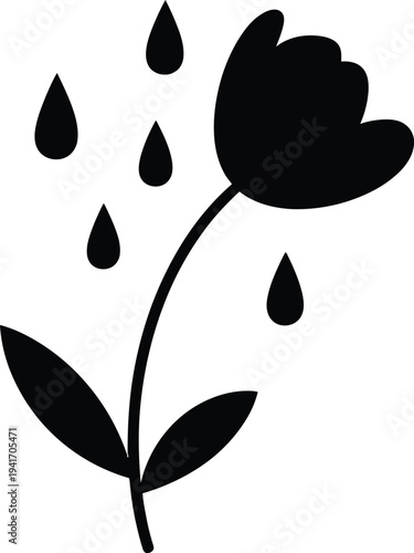 Spring Tulip Flower Receiving Gentle Rain Water