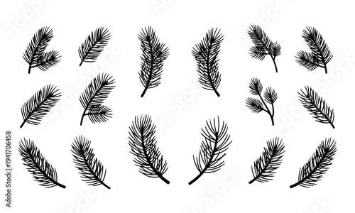 Set of Black Pine and Fir Tree Branch Silhouettes