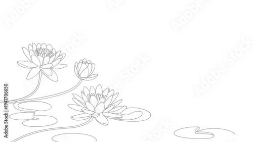 Delicate line drawing of water lilies and lily pads in a serene composition