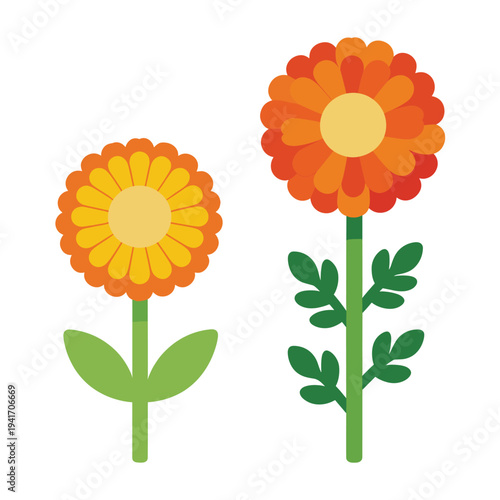 Two stylized marigold flowers with orange and yellow petals, blooming