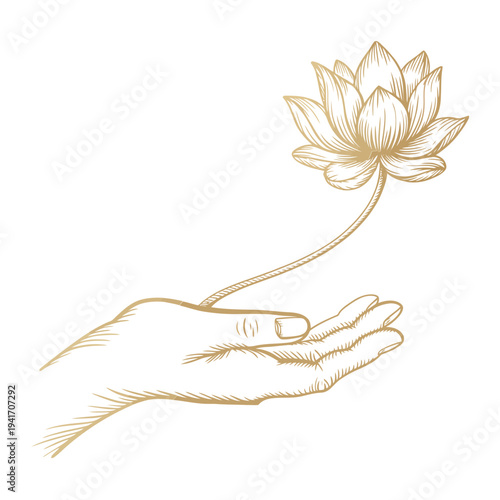 A delicate lotus flower is held gently in a sketched human hand