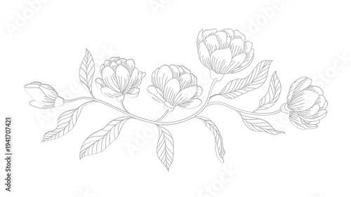Delicate floral sketch featuring blossoming flowers and graceful leaves