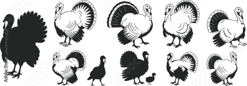 Large collection of black turkey silhouettes and detailed bird illustrations featuring various poses and farmyard scenes isolated on white background for Thanksgiving holiday design.
