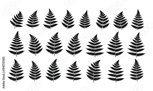 Collection of black fern leaf silhouettes on white background