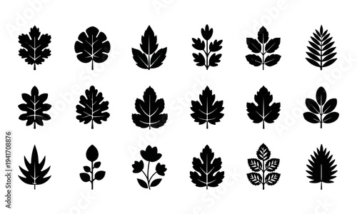 Collection of various leaf silhouettes.