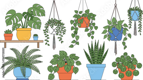 Indoor houseplants and hanging plants vector set with monstera fern snake plant and decorative macrame planters illustration