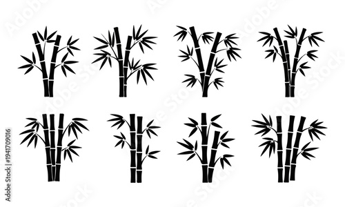 Bamboo trees and leaves set in black and white.