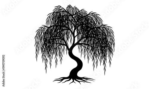 Elegant Weeping Willow Tree Silhouette with Graceful Branches.