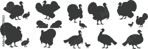 Large set of black turkey silhouettes featuring male and female birds in various poses isolated on white background for Thanksgiving holiday design.