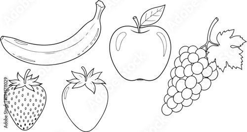 Set of 5 fruit icons vector, line drawing