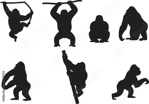 Set of black gorilla and primate silhouettes including climbing swinging and sitting apes isolated on white background for wildlife design.
