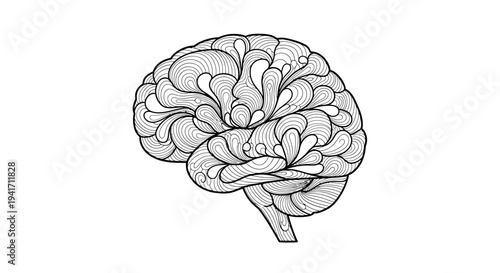 Detailed black and white illustration of human brain anatomy.